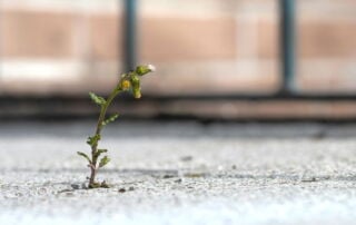 3 Lessons of Transformation